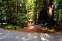Humboldt Redwoods State Park Burlington 014