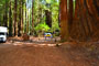 Humboldt Redwoods State Park Burlington 016