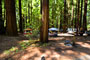 Humboldt Redwoods State Park Burlington 019