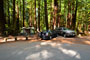 Humboldt Redwoods State Park Burlington 025