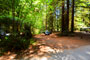 Humboldt Redwoods State Park Burlington 029