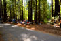 Humboldt Redwoods State Park Burlington 034