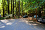 Humboldt Redwoods State Park Burlington 047