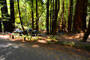 Humboldt Redwoods State Park Burlington 050