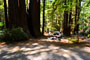 Humboldt Redwoods State Park Burlington 052