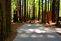 Humboldt Redwoods State Park Burlington 054