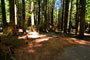 Humboldt Redwoods State Park Burlington 057