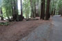 Humboldt Redwoods State Park Albee Creek 008