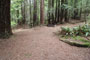 Humboldt Redwoods State Park Albee Creek 012