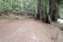 Humboldt Redwoods State Park Albee Creek 014