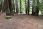 Humboldt Redwoods State Park Albee Creek 029