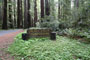 Humboldt Redwoods State Park Albee Creek Sign
