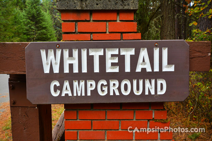 Whitetail Sign