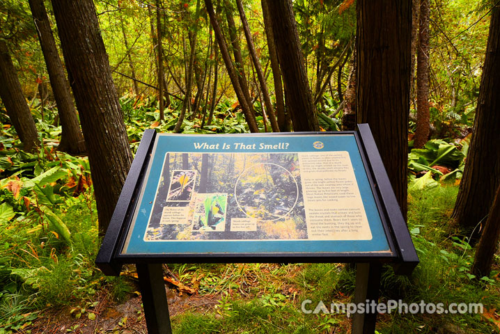 Round Lake State Park Trail Sign