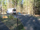 Gilmore Campground Farragut State Park Campsite 392