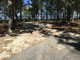 Santee State Park Cypress View 045