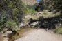 Molino Basin Creek