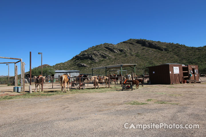 Colossal Cave Mountain Park Horses