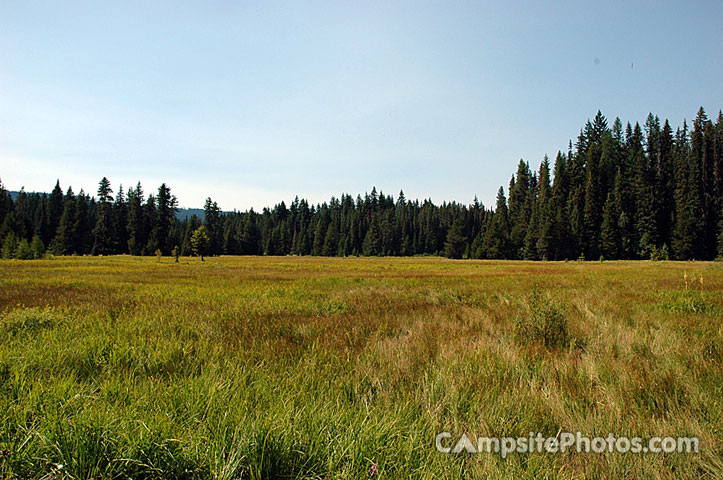 Little Crater Lake Meadow