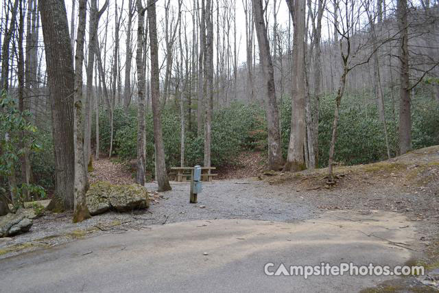 Roan Mountain State Park 076