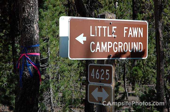 Little Fawn Sign