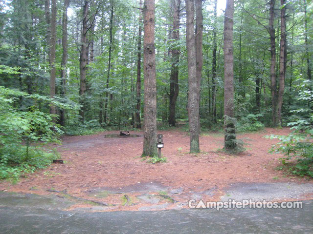 Granville State Forest 007