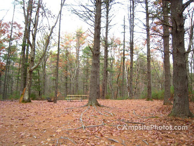 Greenfield State Park 003
