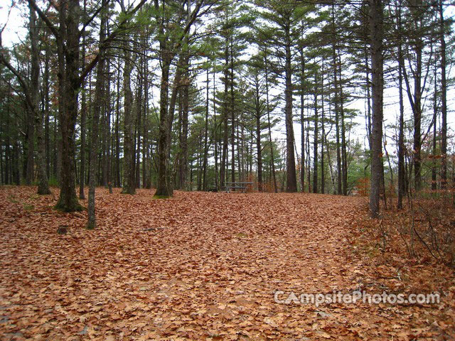Greenfield State Park 038