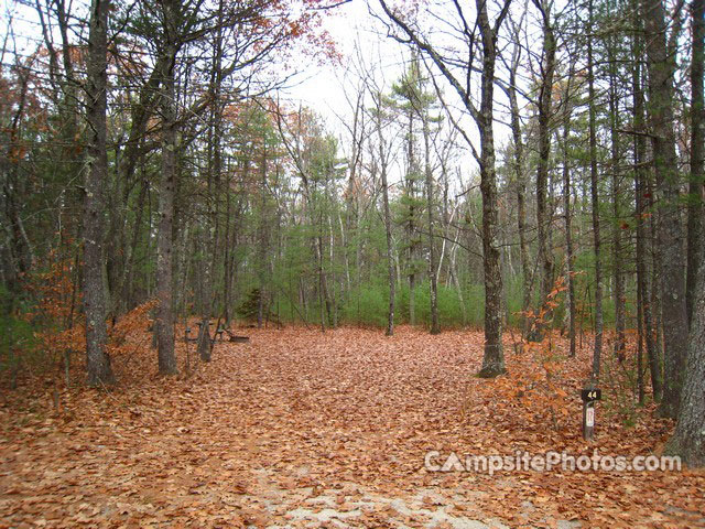 Greenfield State Park 044