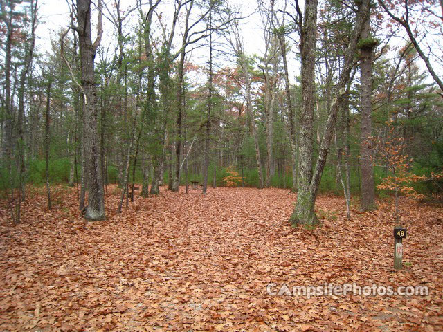 Greenfield State Park 048