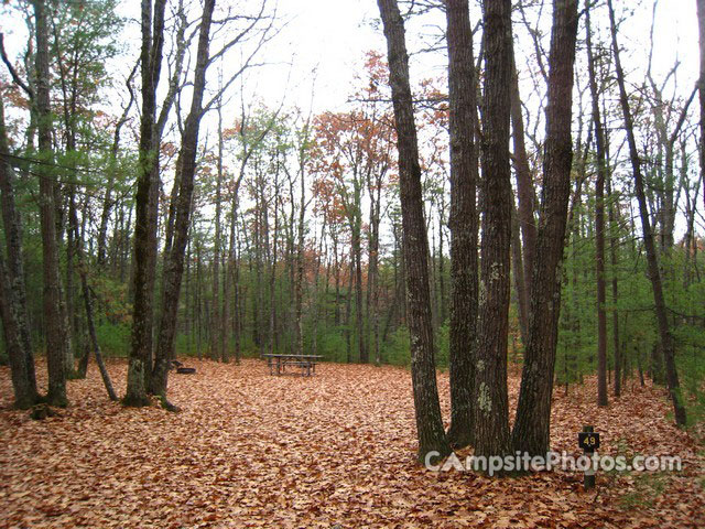 Greenfield State Park 049