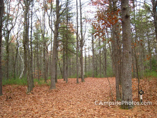 Greenfield State Park 053