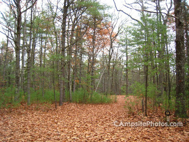 Greenfield State Park 056