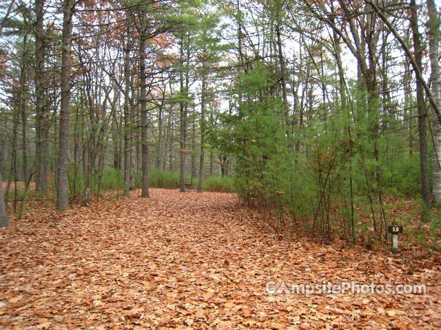 Greenfield State Park 058