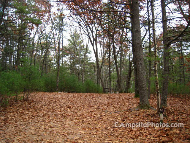 Greenfield State Park 059