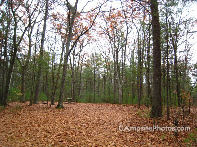 Greenfield State Park 060