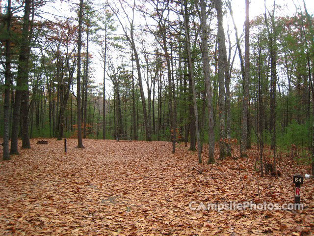 Greenfield State Park 064