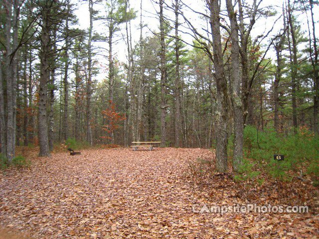 Greenfield State Park 065