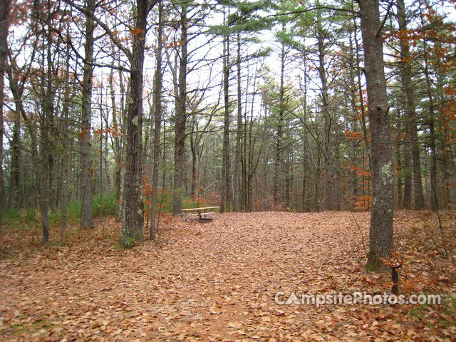 Greenfield State Park 066