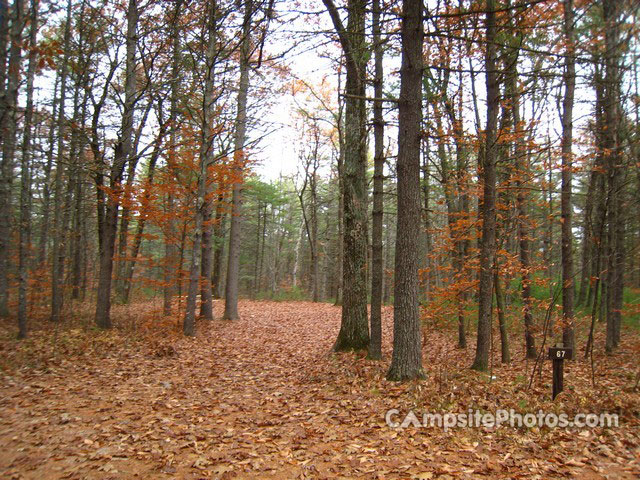 Greenfield State Park 067