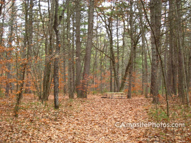 Greenfield State Park 071