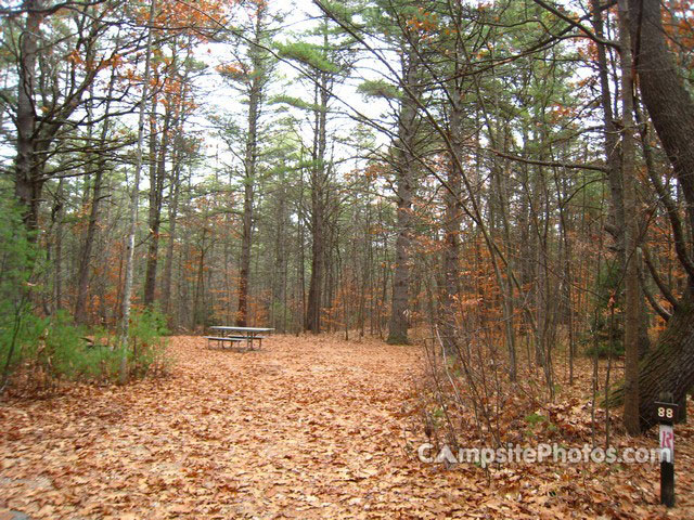 Greenfield State Park 088