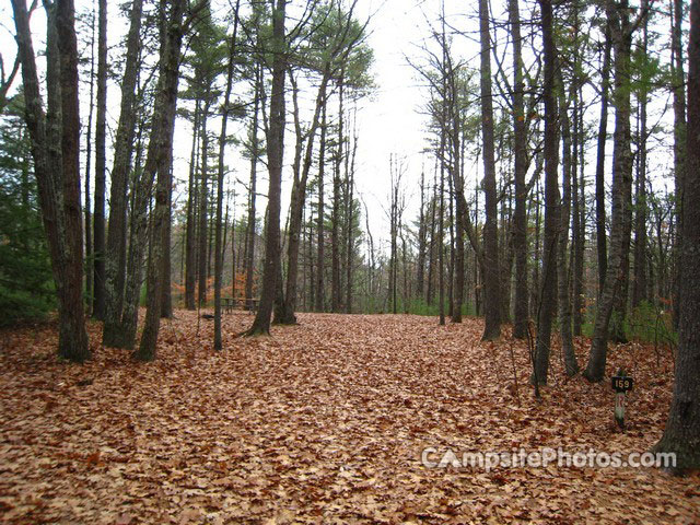 Greenfield State Park 159