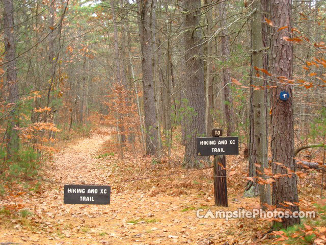 Greenfield State Park hiking trail