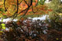 John James Audubon State Park Fall Colors