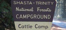 Cattle Camp