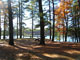 Lake Dennison Recreational Area 112