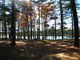 Lake Dennison Recreational Area 113