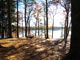Lake Dennison Recreational Area 115