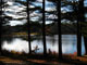 Lake Dennison Recreational Area common area 2